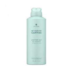  Alterna Canvas Another Day Сухий шампунь, 142 г (арт. 2600784)