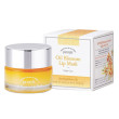 Нічна маска для губ з вітаміном Е і олією обліпихи Petitfee Oil Blossom Lip Mask 15g - №2